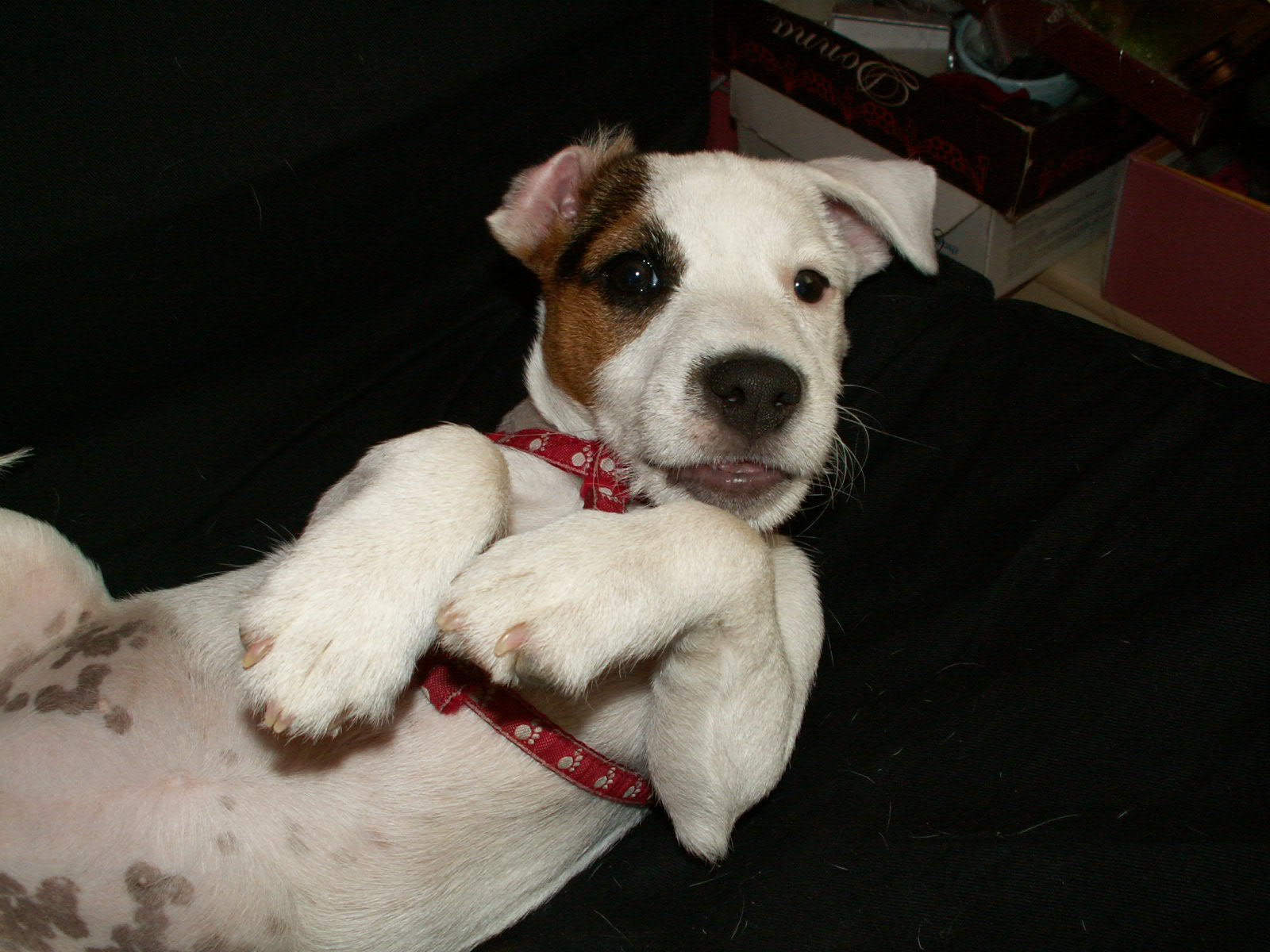 PICT0431.JPG