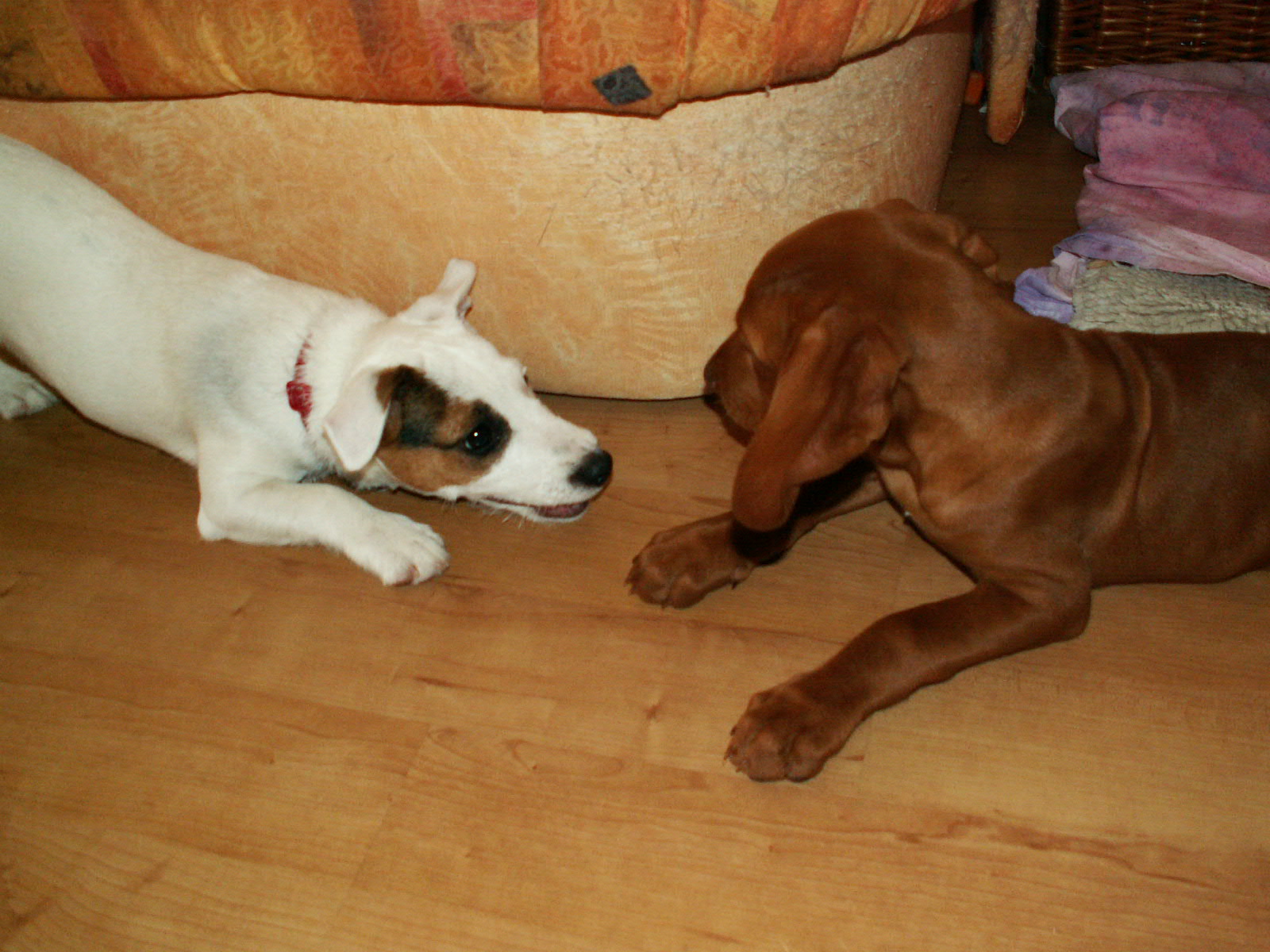 PICT0432.JPG